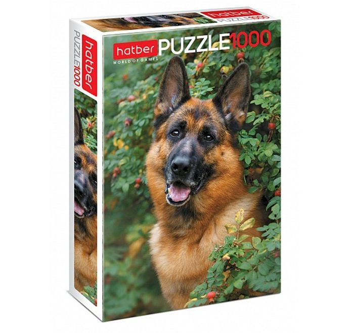 Obrazek pudełka